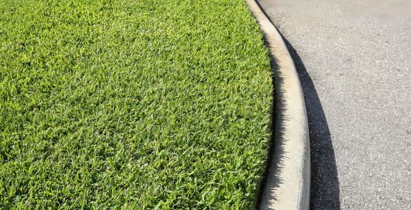 Cost of Street Curb Repair in Wichita Falls